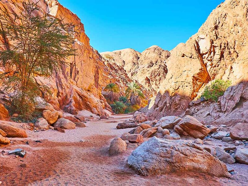 Kahire İskenderiye ve Sharm Masalı Turu - Ajet Havayolları İle - 6 Gece - 8 Gün - Ramazan Bayramı Özel